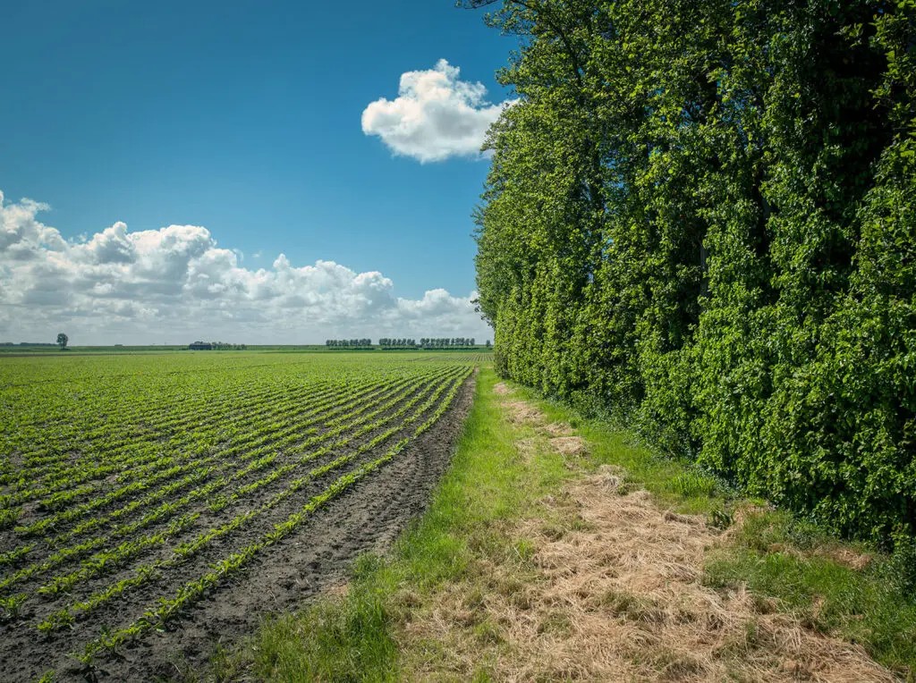 Nieuwe bron van zoetwater voor Zeeuwse landbouw